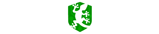 Binary Gecko