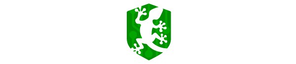 Binary Gecko